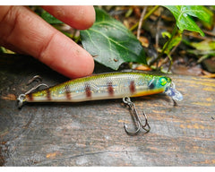 348T Mysterious Gill