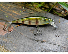 348T Mysterious Gill