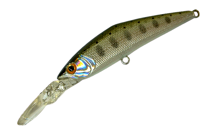 Smith D-Direct 55