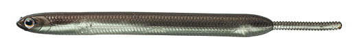 34e633fc00c6435447338c5e3e516602