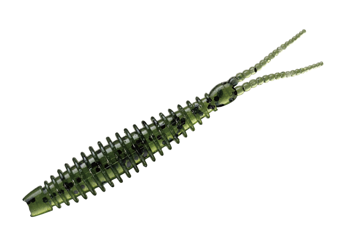 AR-W Pintail