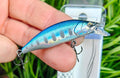 Japoński wobler Mukai Bikaze 50S Blue Silver Yamame #BK06 - zdjęcie główne - Rybomania.pl