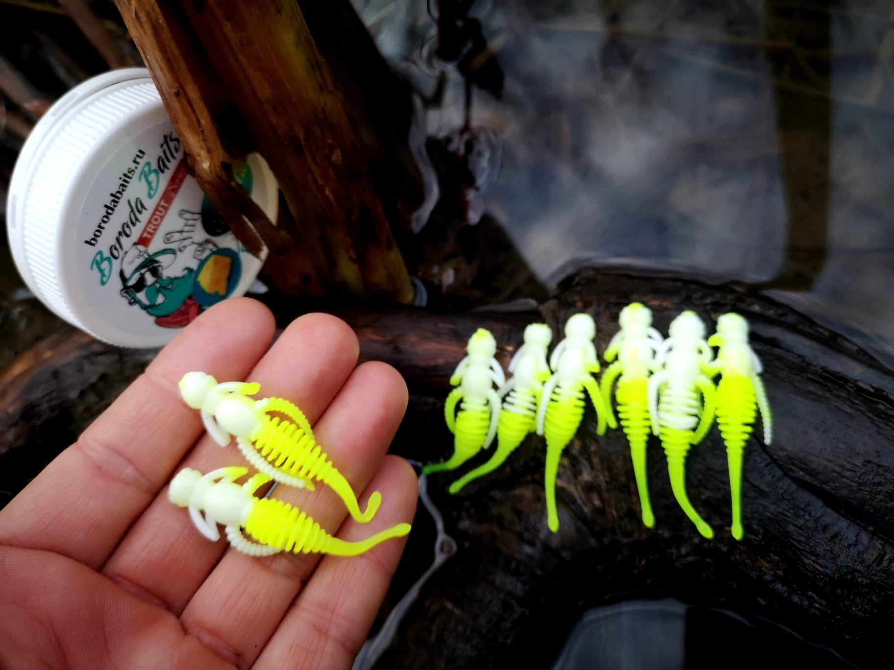 IMG_20201216_134738.jpg