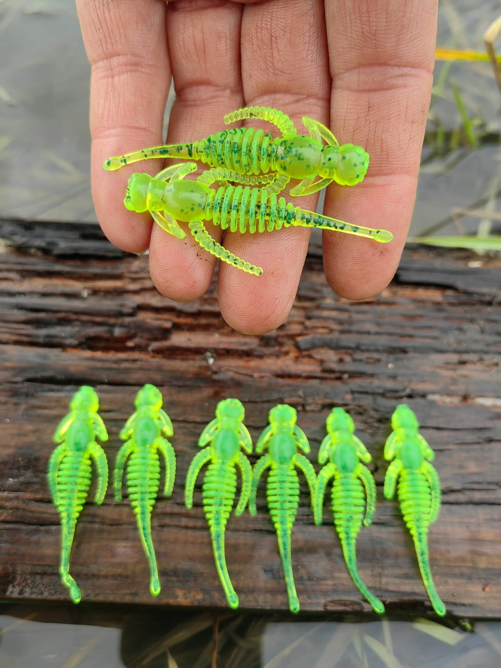 IMG_20231226_124528.jpg