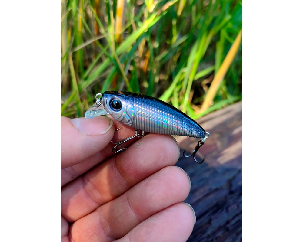 Damiki Mu 45 SP 012H Black Holo — szczegóły przynęty, pełny kadr, Rybomania.pl