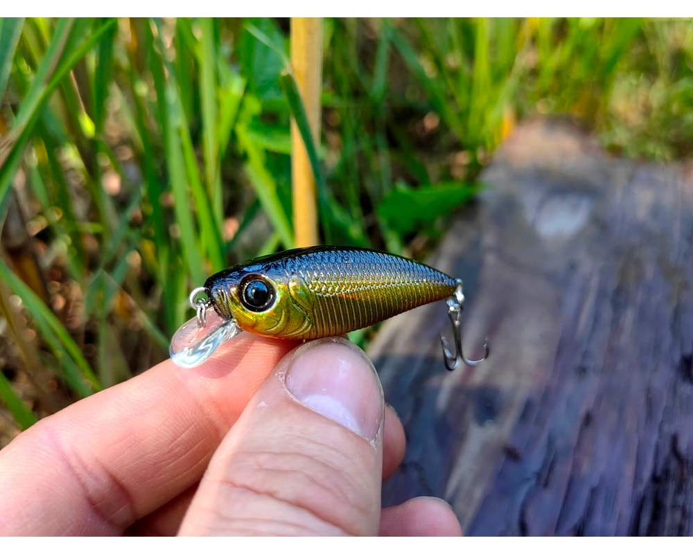 Damiki Mu 45 SP 236H Black Gold Holo — szczegóły przynęty, pełny kadr, Rybomania.pl