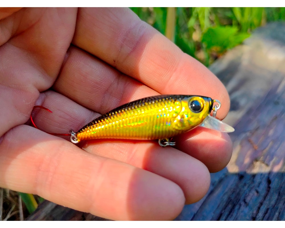 Damiki Mu 45 SS 236H Black Gold Holo — szczegóły przynęty, pełny kadr, Rybomania.pl