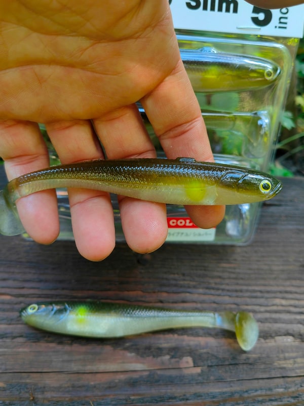 Fish Arrow Flash-J Shad Slim 5" #F22 Live Ayu / Silver — zdjęcie 1
