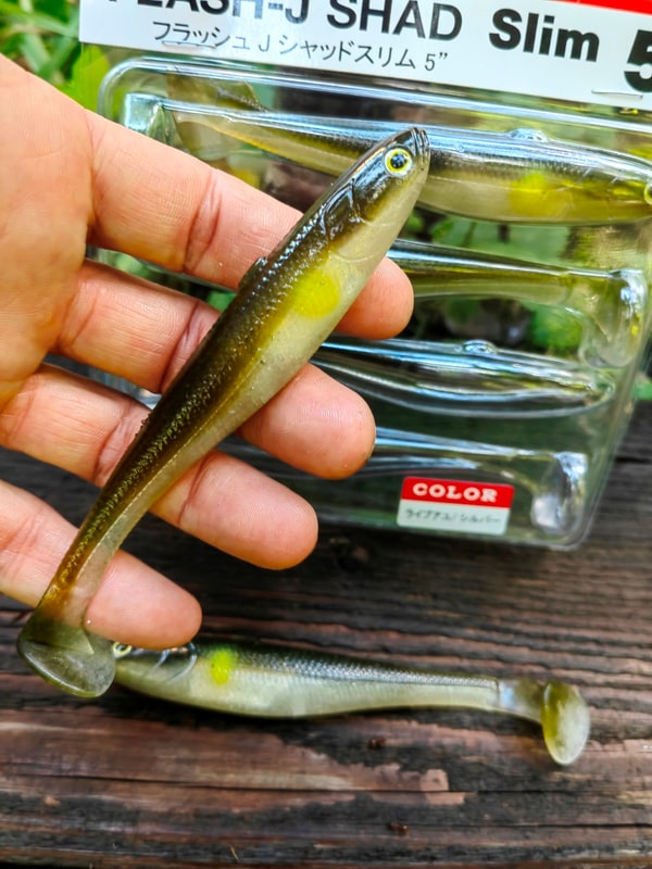 Fish Arrow Flash-J Shad Slim 5" #F22 Live Ayu / Silver — zdjęcie 2