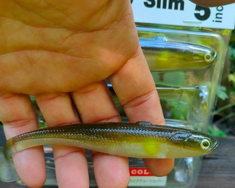 Fish Arrow Flash-J Shad Slim 5" #F22 Live Ayu / Silver — poziome zdjęcie główne JPG001