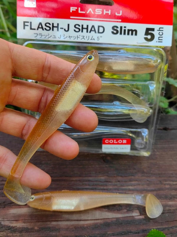 Fish Arrow Flash-J Shad Slim 5" #F46 Champagne Bait / Silver — zdjęcie 3