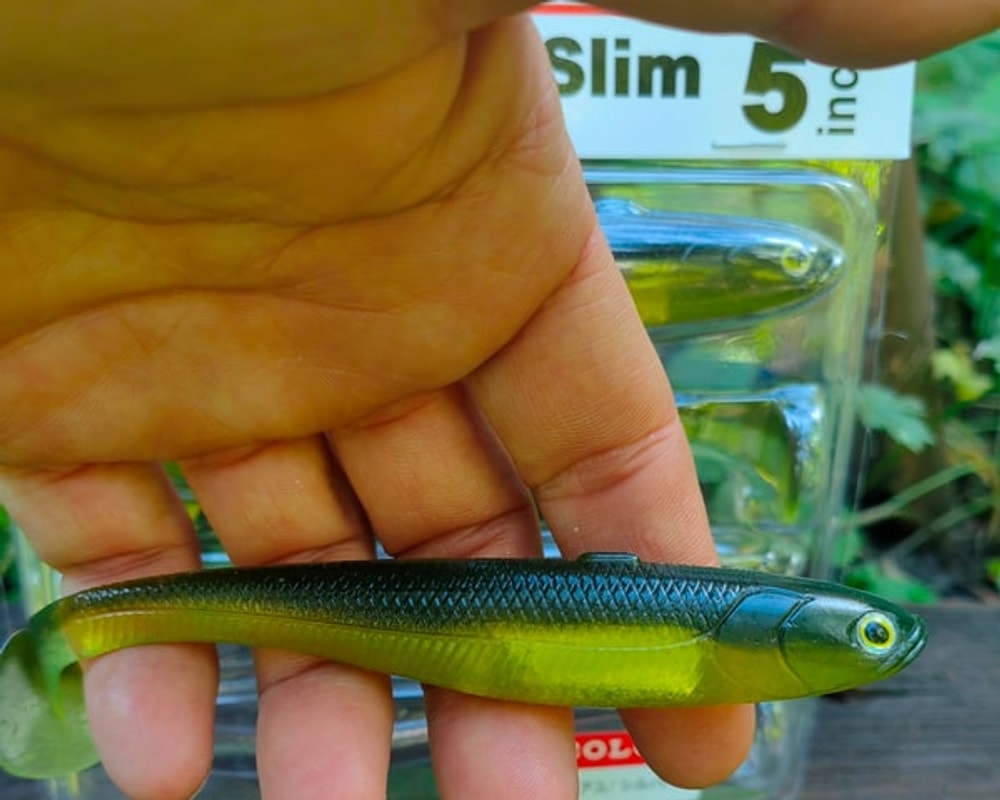 Fish Arrow Flash-J Shad Slim 5" #F47 Chi Ayu / Silver — poziome zdjęcie główne JPG001