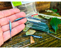 Fish Arrow Flash-J Slim 1.5″ SW #105 MAIWASHI/SILVER — pełne zdjęcie główne JPG001, zdjęcie Rybomania.pl