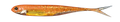 1151