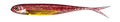 FJ_Split5SW_116.png