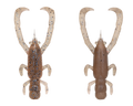 6265