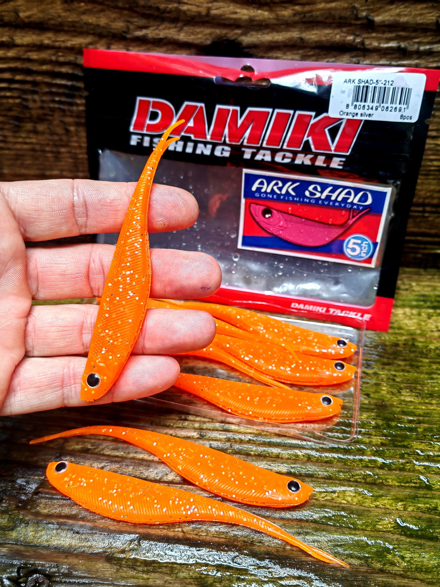 IMG_20230914_130635.jpg
