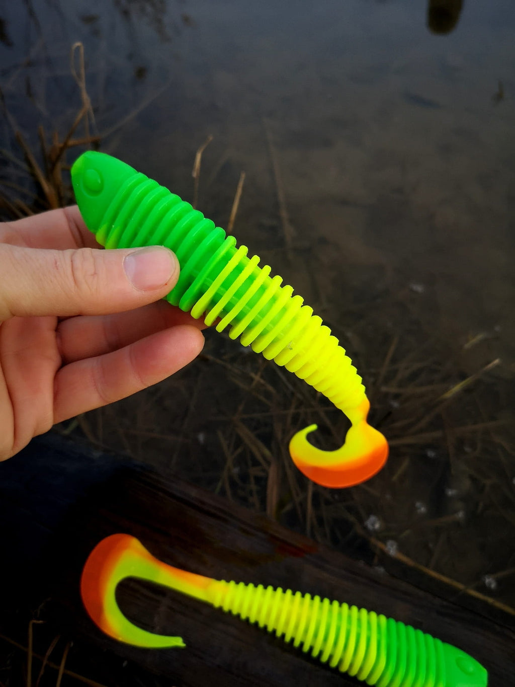 IMG_20211212_145146.jpg