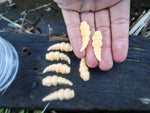 Larwa XL  #115/ 8 szt. / 40 мм, - 1,8 gr. / zapach ser /