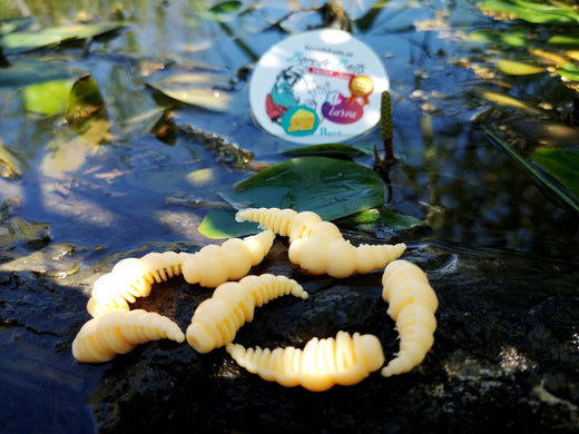 Larwa XL Boroda Baits 40mm killer/pstrąg/kleń/ser/