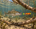 Kopyto Magic Baits 11 cm killer na Sandacze #04 — sandacz atakujący przynętę pod wodą, wizualizacja