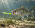 Kopyto Magic Baits 11 cm killer na Sandacze #05 — sandacz atakujący przynętę pod wodą, wizualizacja