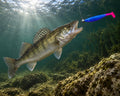 Kopyto Magic Baits 11 cm killer na Sandacze #08 — sandacz atakujący przynętę pod wodą, wizualizacja
