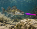 Kopyto Magic Baits 11 cm killer na Sandacze #10 — sandacz atakujący przynętę pod wodą, wizualizacja