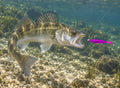 Kopyto Magic Baits 90 mm killer na Sandacze #10 — sandacz atakujący przynętę pod wodą, wizualizacja