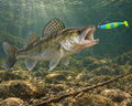 Kopyto Magic Baits 90 mm killer na Sandacze #12 — sandacz atakujący przynętę pod wodą, wizualizacja