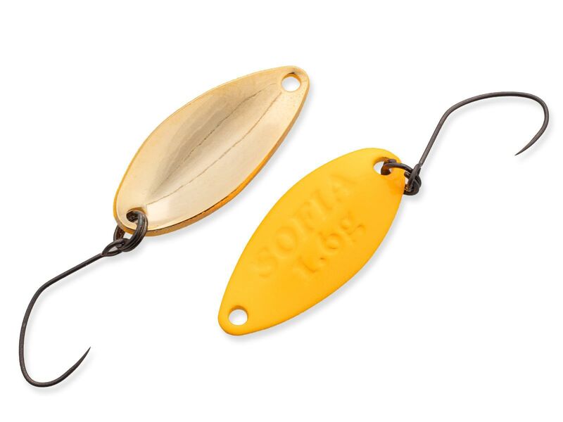 3666