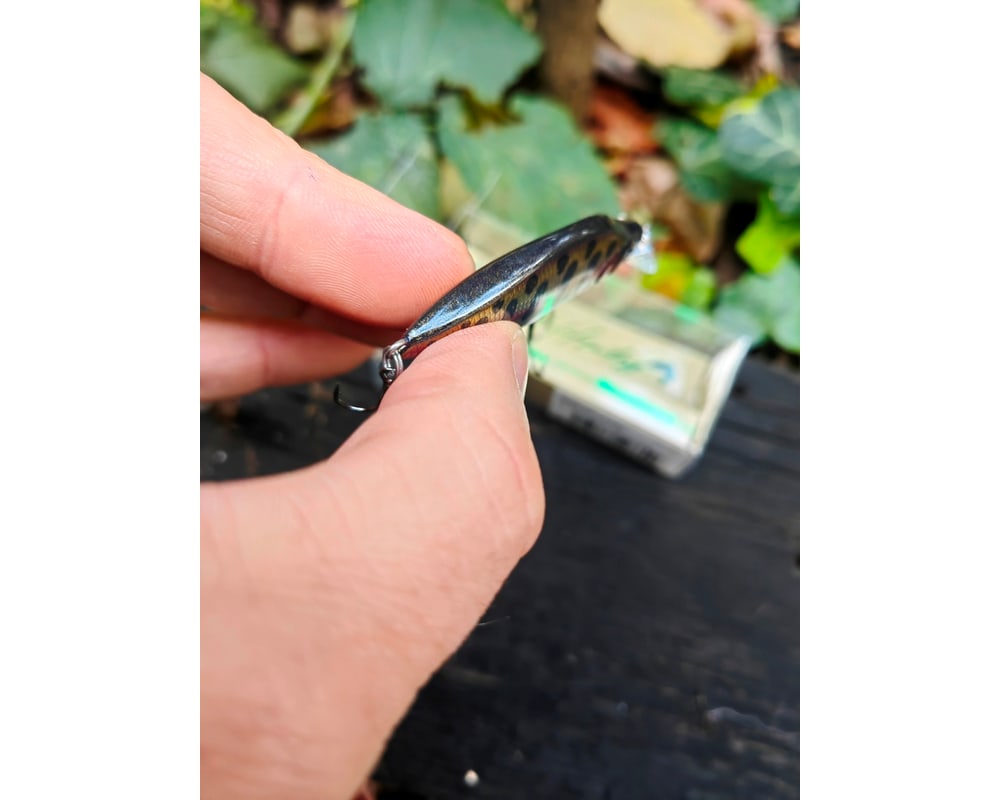 Megabass GH52 BAT A FRY 52 mm 8,5 g — #01 LZ SHINY KEIMURA YAMAME — zdjęcie 3