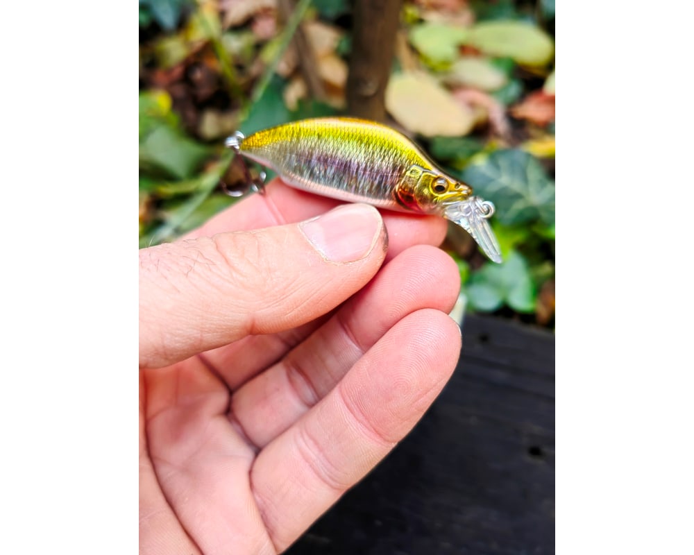 Megabass GH52 BAT A FRY 52 mm 8,5 g — #08 GC HIGHLAND WAKASAGI II — zdjęcie główne