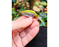 Megabass GH52 BAT A FRY 52 mm 8,5 g — #08 GC HIGHLAND WAKASAGI II — zdjęcie główne