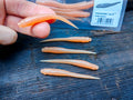 Megabass HAZEDONG 3″ #05 Doba Mimizu — 10 szt. — pełne zdjęcie główne