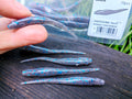 Megabass HAZEDONG 3″ #06 Biwako Yoshinobori — 10 szt. — pełne zdjęcie główne