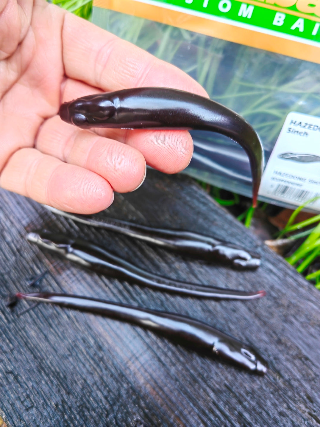 Megabass HAZEDONG 4″ #03 Scuppernong — 7 szt. — poglądowy kolor na HAZEDONG 5 cali, oferta 4 cale — zdjęcie 3