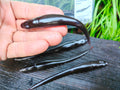 Megabass HAZEDONG 5″ #03 Scuppernong — 7 szt. — pełne zdjęcie główne