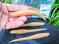 Megabass HAZEDONG 5″ #05 Doba Mimizu — 7 szt. — pełne zdjęcie główne