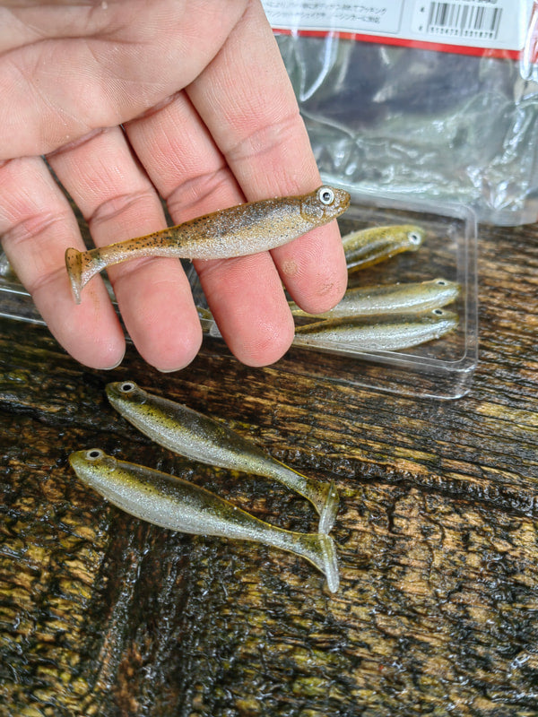 Megabass Hazedong Shad3″ Green Pumpkin Shad — cała przynęta na dłoni