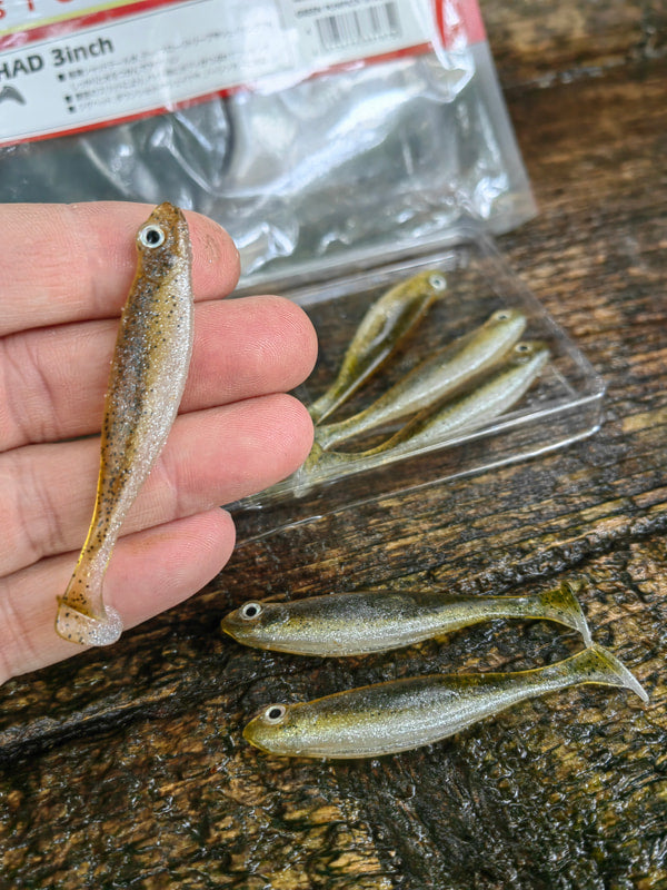 Megabass Hazedong Shad3″ Green Pumpkin Shad — cała przynęta na dłoni
