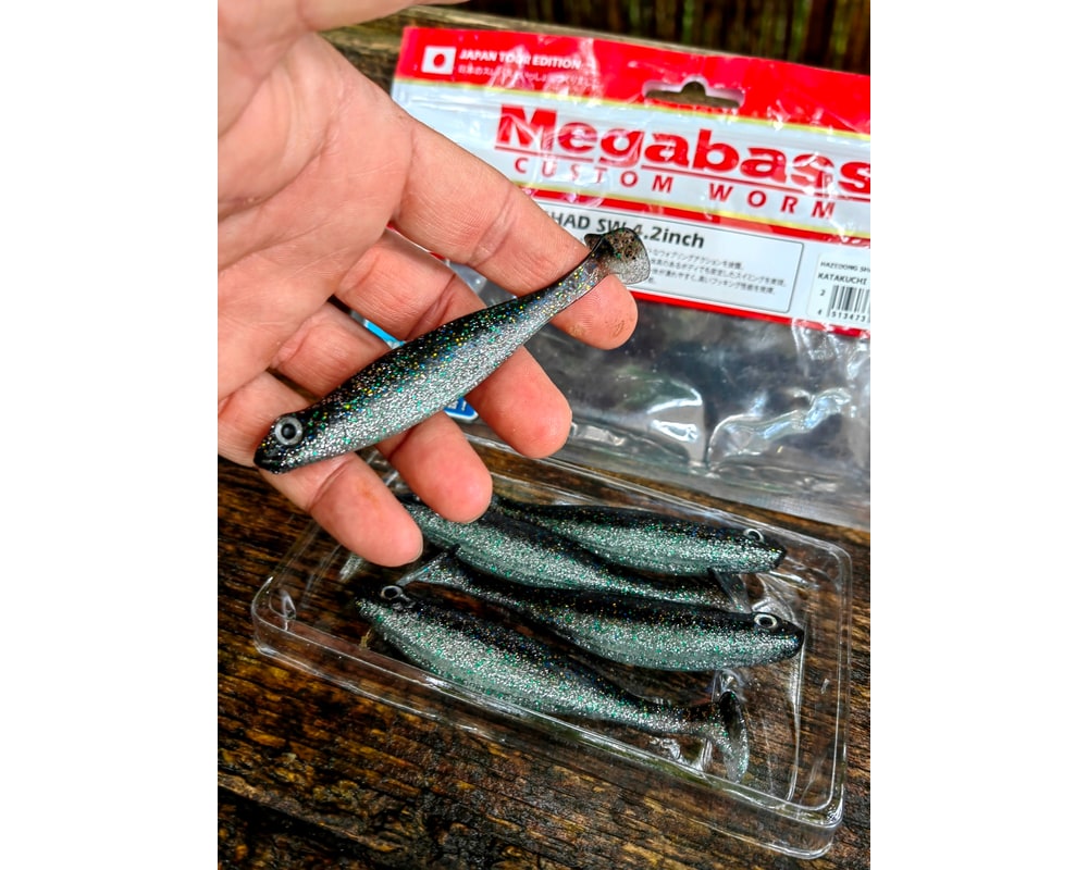 Megabass HAZEDONG SHAD SW 4.2″ 10,5 cm — #002 KATAKUCHI — zdjęcie 3
