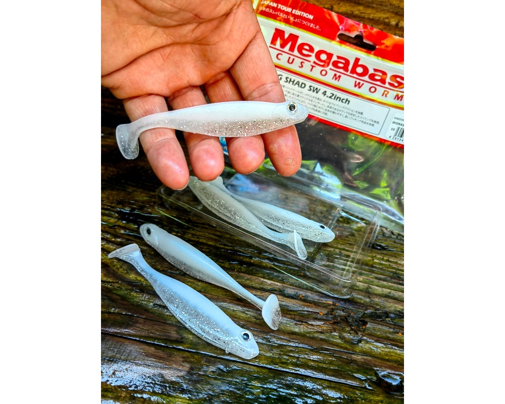 Megabass HAZEDONG SHAD SW 4.2″ 10,5 cm — #010 SHIRASU — zdjęcie 4