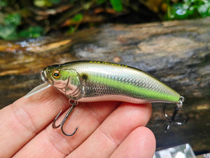 Megabass I×I FURIOUS 1.5 64 mm — #006 DD SEXY SHAD