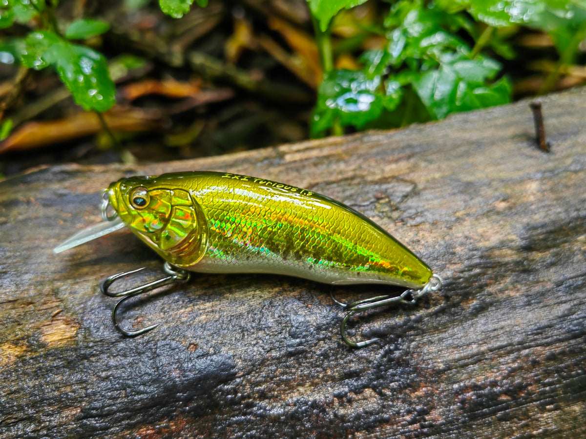 Megabass I×I FURIOUS 1.5 64 mm — #013 GG BASS — zdjęcie 2