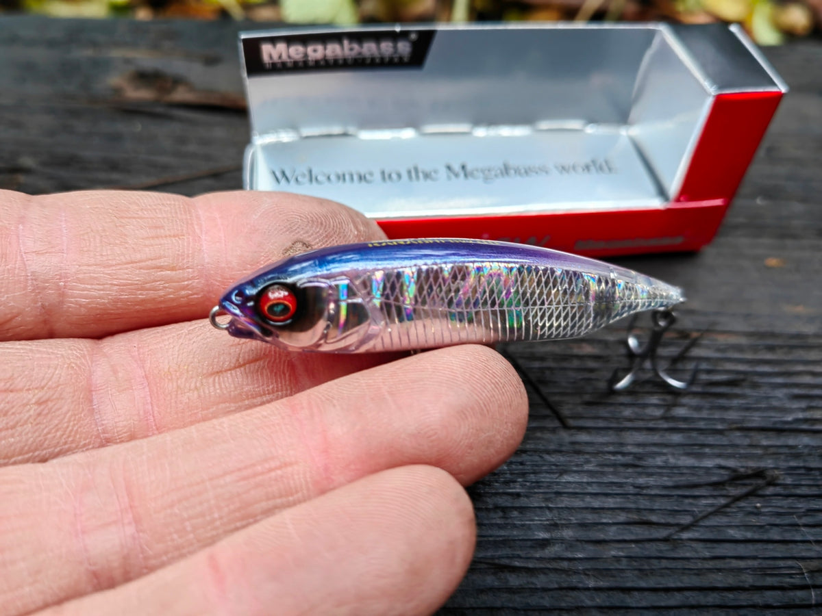 Megabass KARASHI SW SS 59 mm — #01 GG HAKU — zdjęcie główne