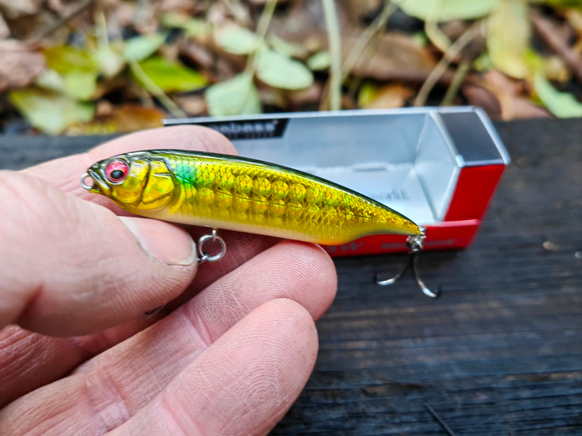 Megabass KARASHI SW SS 59 mm — #02 GG KIN BORA — zdjęcie główne