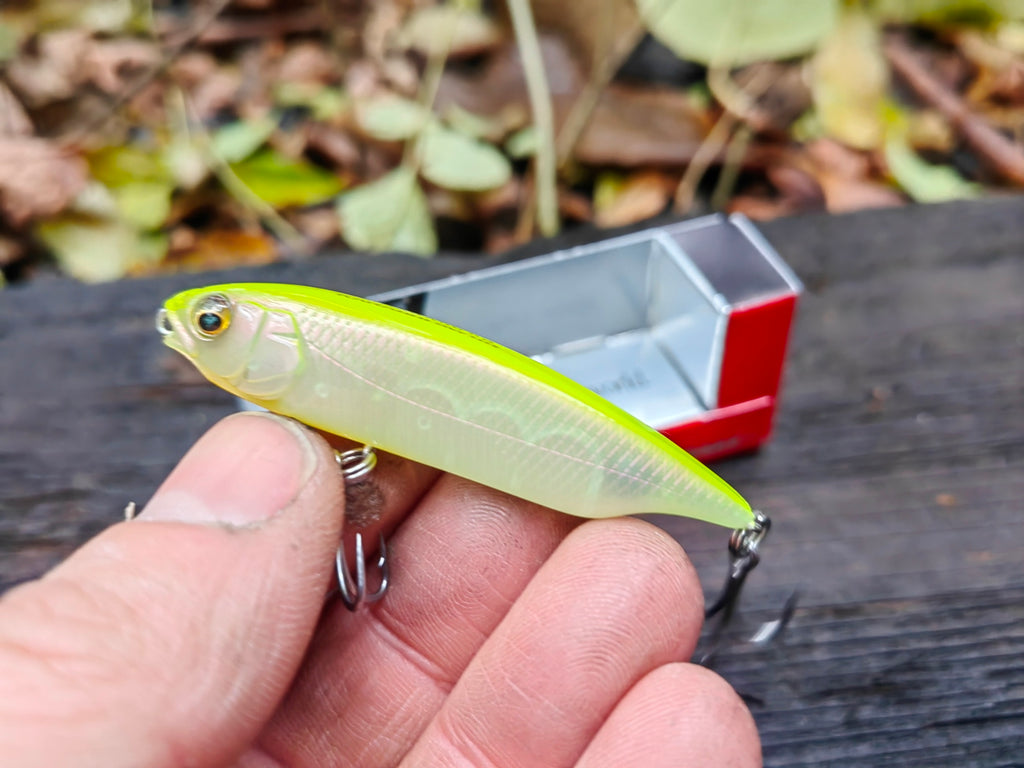 Megabass KARASHI SW SS 59 mm — #10 PM HOT SHAD — zdjęcie główne