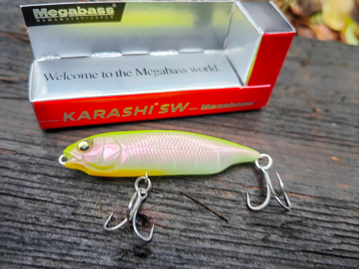 Megabass KARASHI SW SS 59 mm — #10 PM HOT SHAD — zdjęcie 2