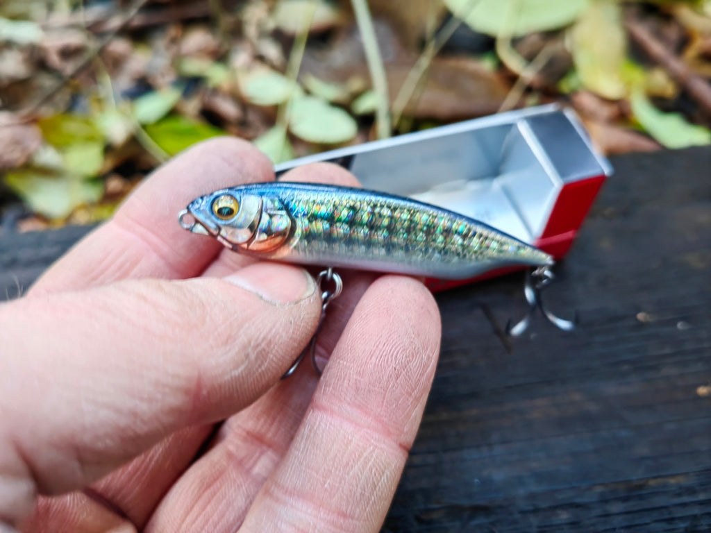 Megabass KARASHI SW SS 59 mm — #13 FA BORA — zdjęcie główne